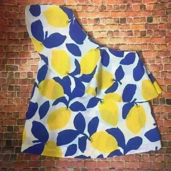 LOFT Tops - Loft Ruffle Blouse Sleeveless XS